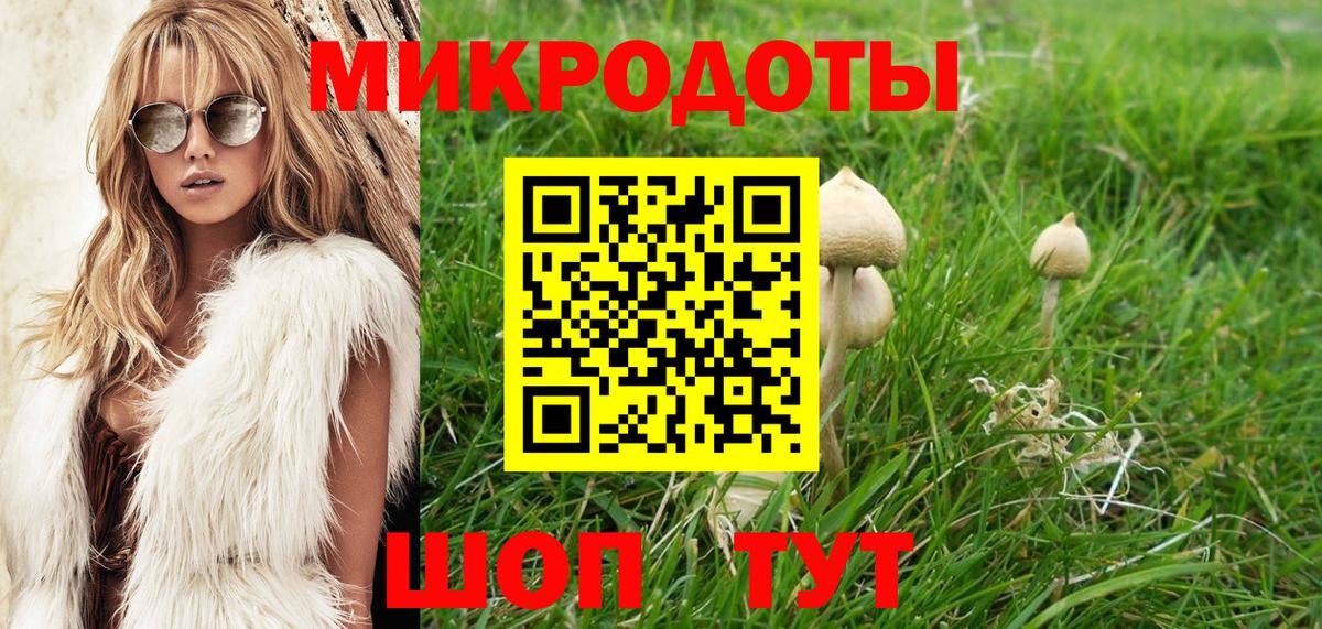 где найти наркотики  Псилоцибиновые грибы Psilocybine cubensis  Галлюциногенные грибы MAGIC MUSHROOMS  Вход с VPN  Павловский Посад 