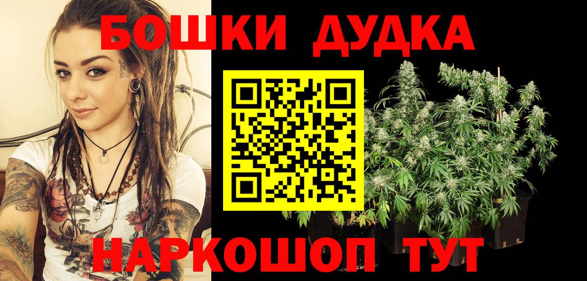 Каннабис сатива Павловский Посад